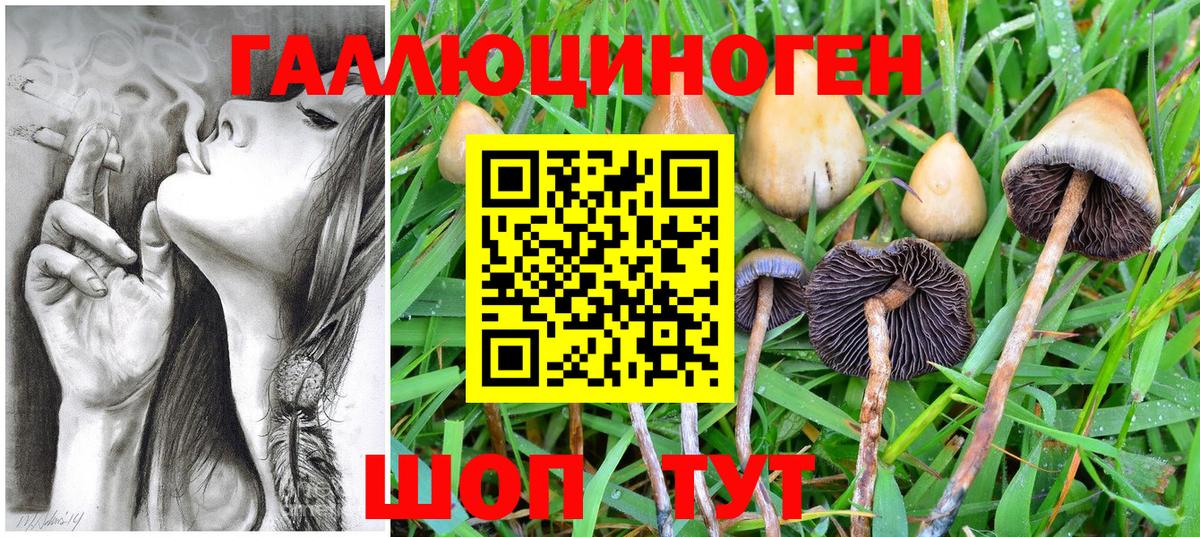 Псилоцибиновые грибы Psilocybine cubensis Переславль-Залесский